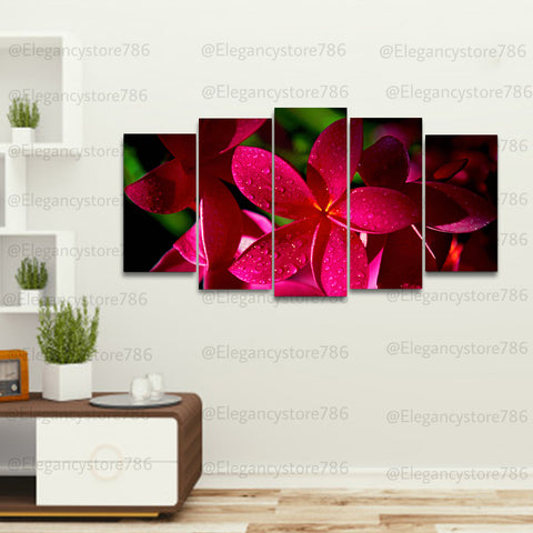 5 splitter Nature Wall Frame (CSL_014)