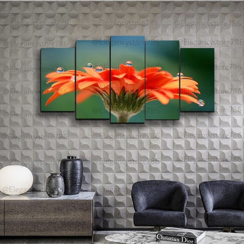 5 Splitter Nature Wall Frame (CSL_055)