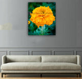 3 pcs Wall Frame (OP-02)