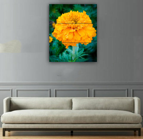 3 pcs Wall Frame (OP-02)