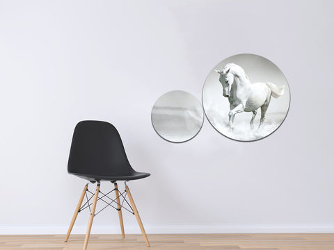 2 Pc Round Shape Frame