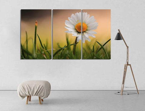 3 PCS Wall Frame