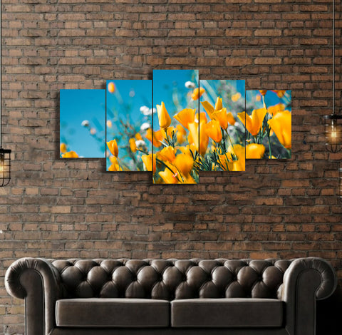 5 pcs  Wall Frame (CSL_117)